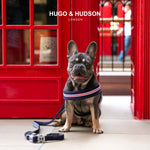 Mesh Dog Leash - Navy