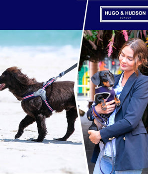 Mesh Dog Leash - Navy