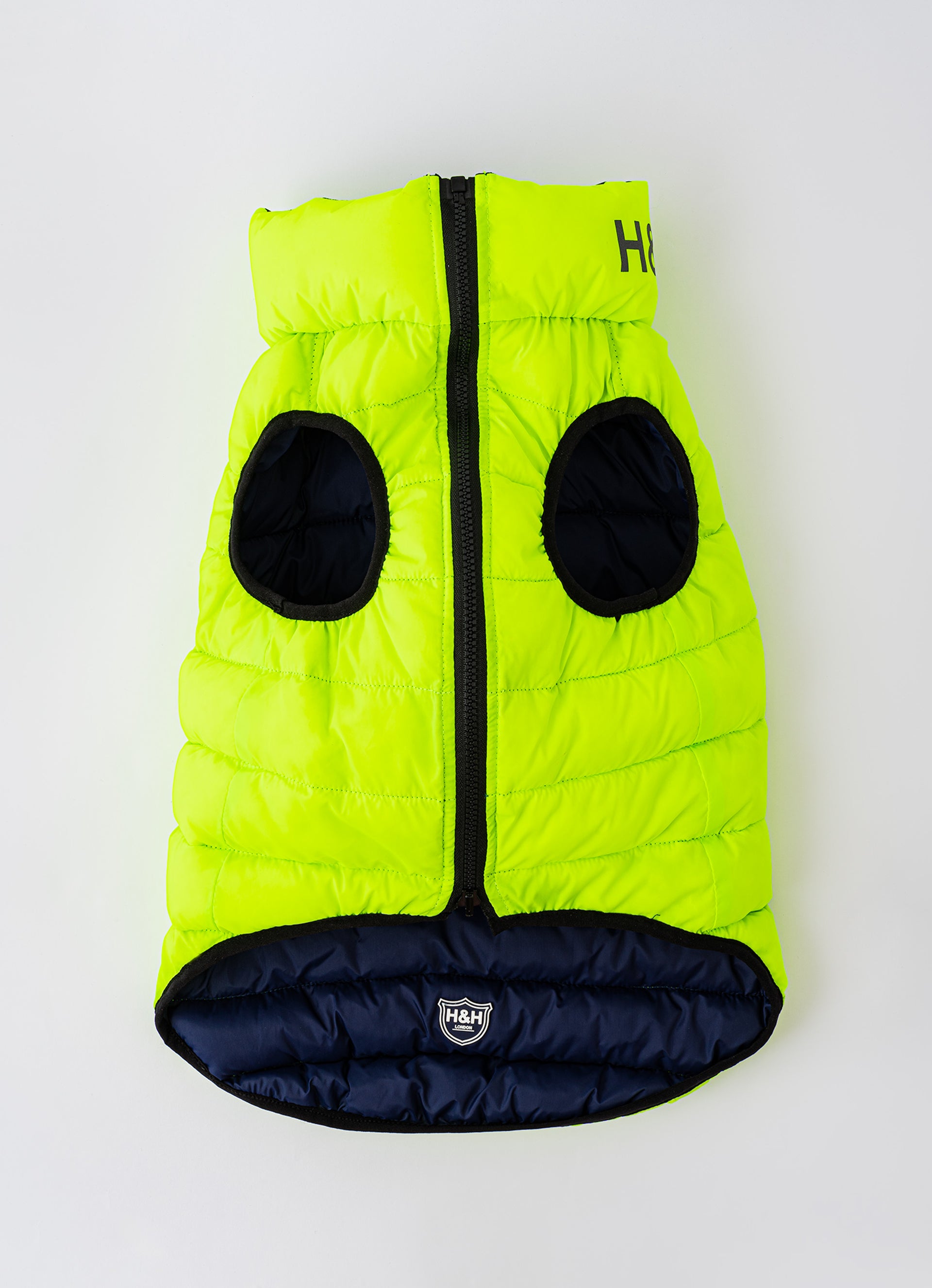 Green and Navy Dog Puffer Jacket Hugo & Hudson London