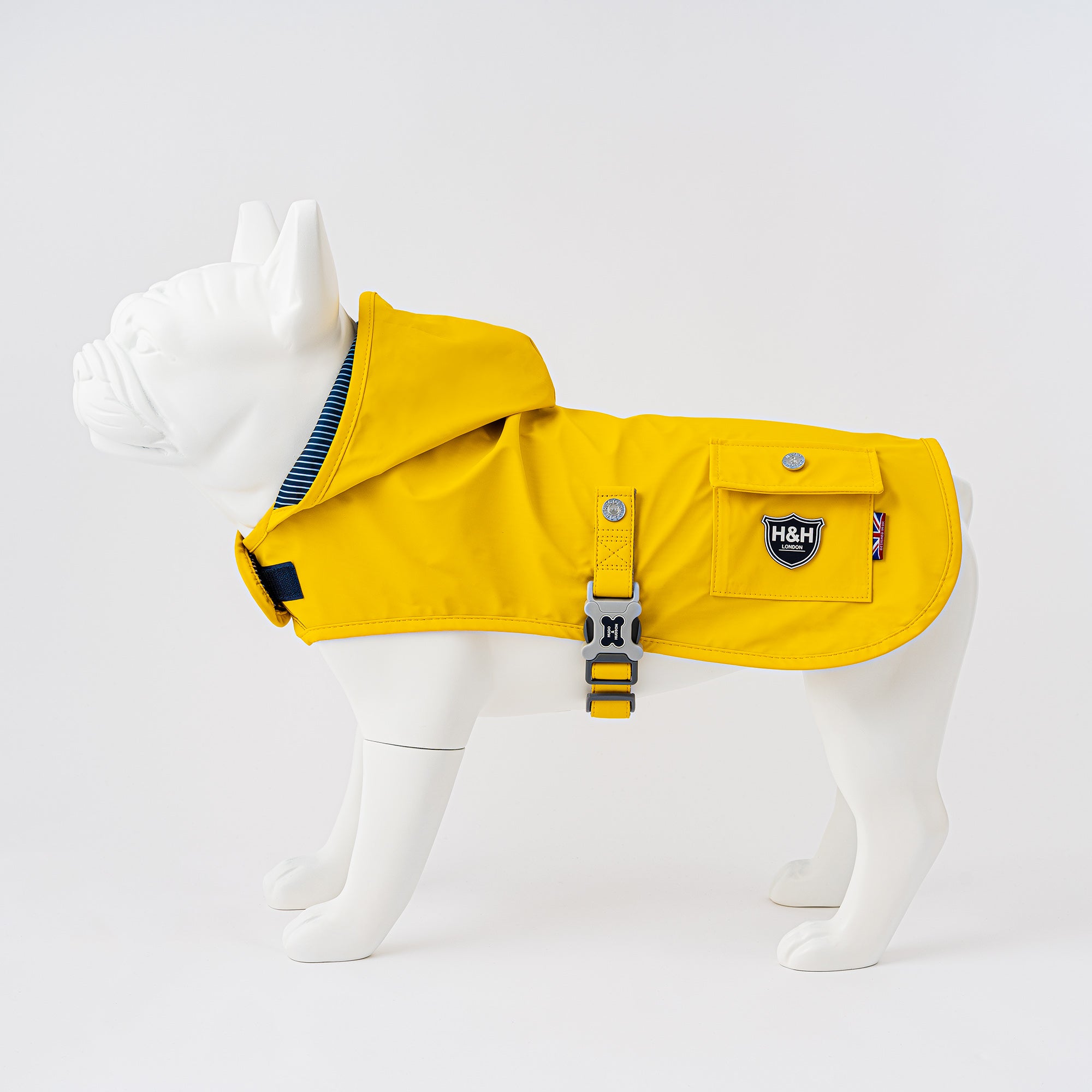 dog yellow rain coat