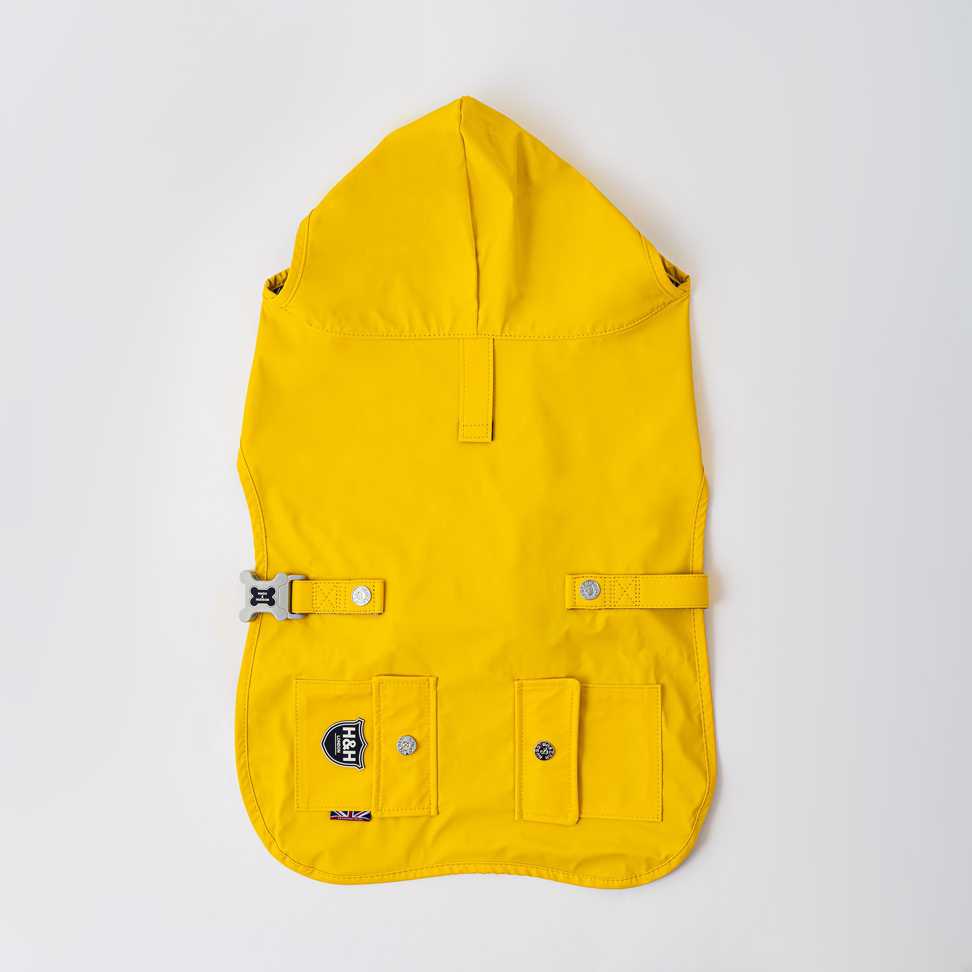 dog yellow rain coat