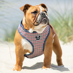 Fabric Dog Harness - Checkered Navy and Red