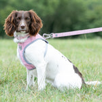 Tweed Dog Harness - Pink Checkered