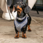 Tweed Dog Harness - Navy Herringbone