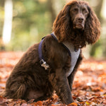 Tweed Dog Harness - Navy Herringbone