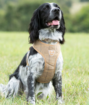 Tweed Dog Harness - Caramel Checkered Herringbone