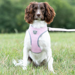 Tweed Dog Harness - Pink Herringbone