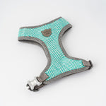 Tweed Dog Harness - Aqua Herringbone