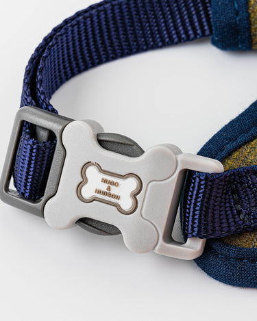 close up of dog harness