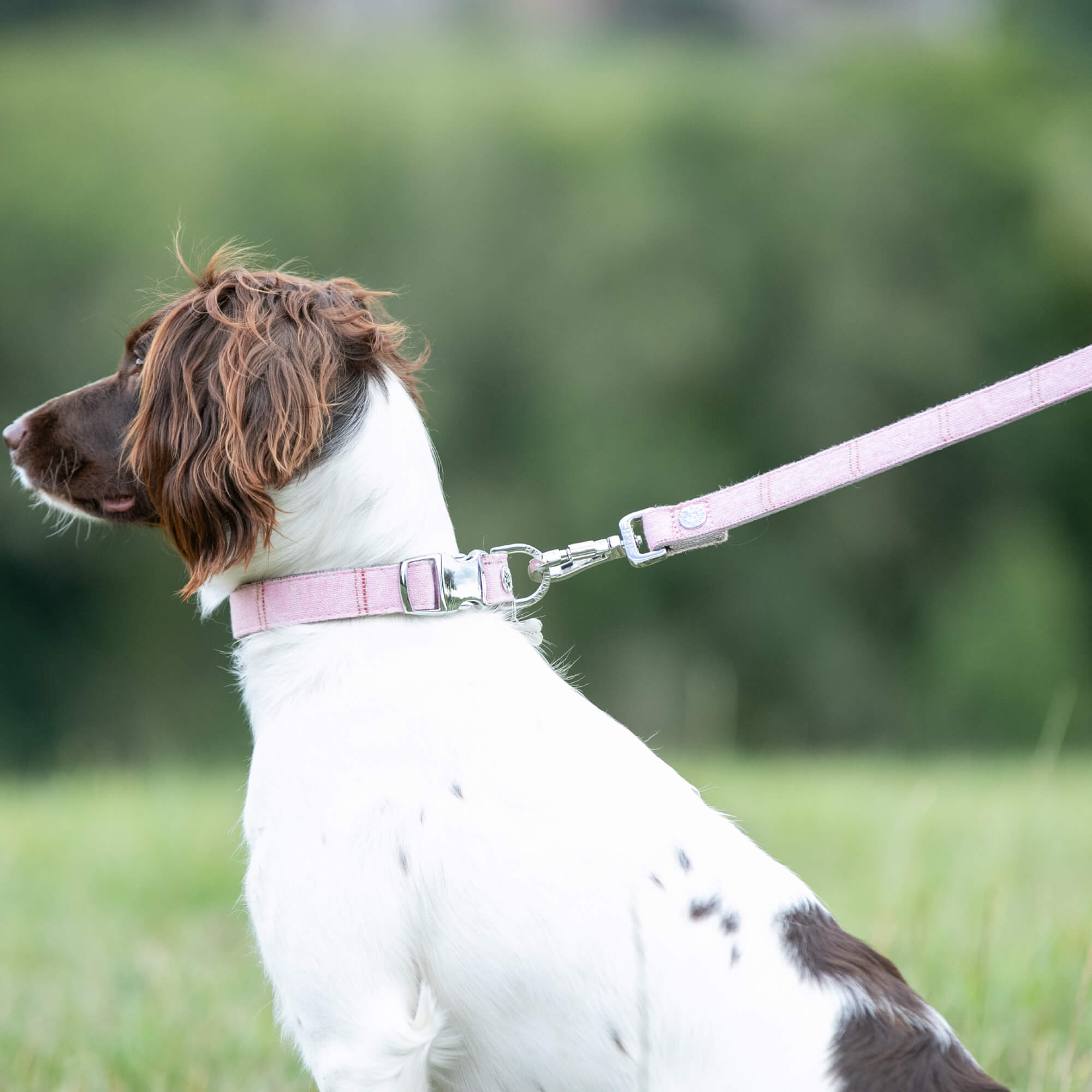 Pink Checked Tweed Lead