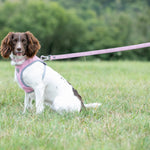 Tweed Dog Leash - Pink Checkered