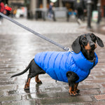 Tweed Dog Leash - Navy Herringbone