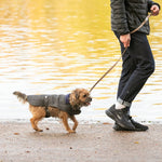 Tweed Dog Leash - Caramel Checkered Herringbone
