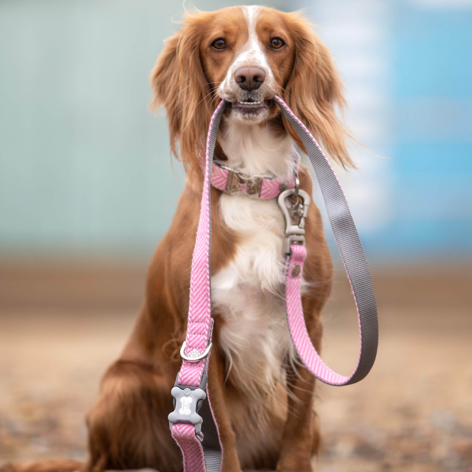 Pink Herringbone Tweed Lead
