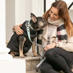 Tweed Dog Leash - Aqua Herringbone