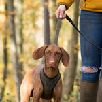 Tweed Dog Leash - Dark Green Checkered