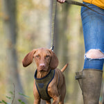Tweed Dog Leash - Dark Green Checkered
