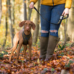Tweed Dog Leash - Dark Green Checkered