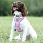 Tweed Metal Buckle Dog Collar - Pink Checkered