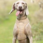 Tweed Metal Buckle Dog Collar - Caramel Checkered Herringbone