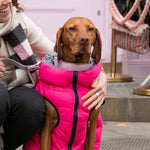 Tweed Metal Buckle Dog Collar - Pink Herringbone