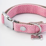 Tweed Metal Buckle Dog Collar - Pink Herringbone