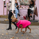 Tweed Metal Buckle Dog Collar - Pink Herringbone