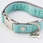 Tweed Metal Buckle Dog Collar - Aqua Herringbone