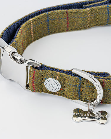 close up of dog collar