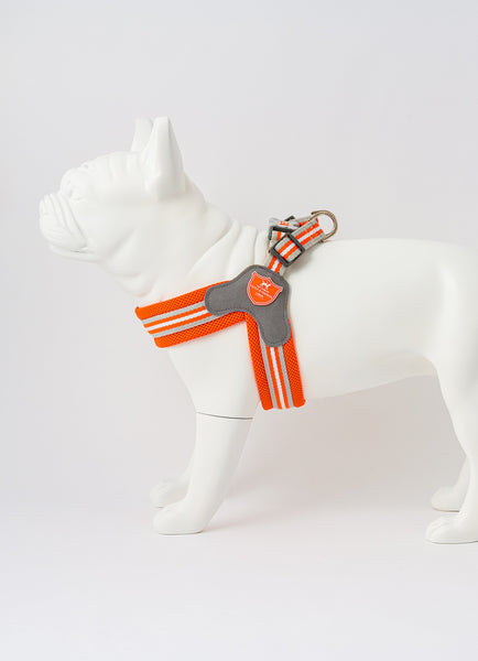 Easy dog harness cheap