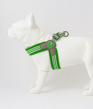 Easy Walk V Dog Harness - Green