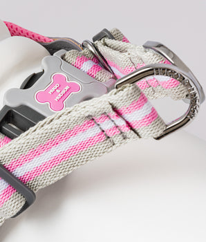 Easy Walk V Dog Harness - Pink Buckles
