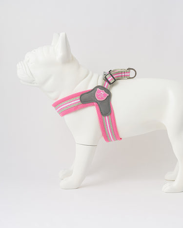 Easy Walk V Dog Harness - Pink