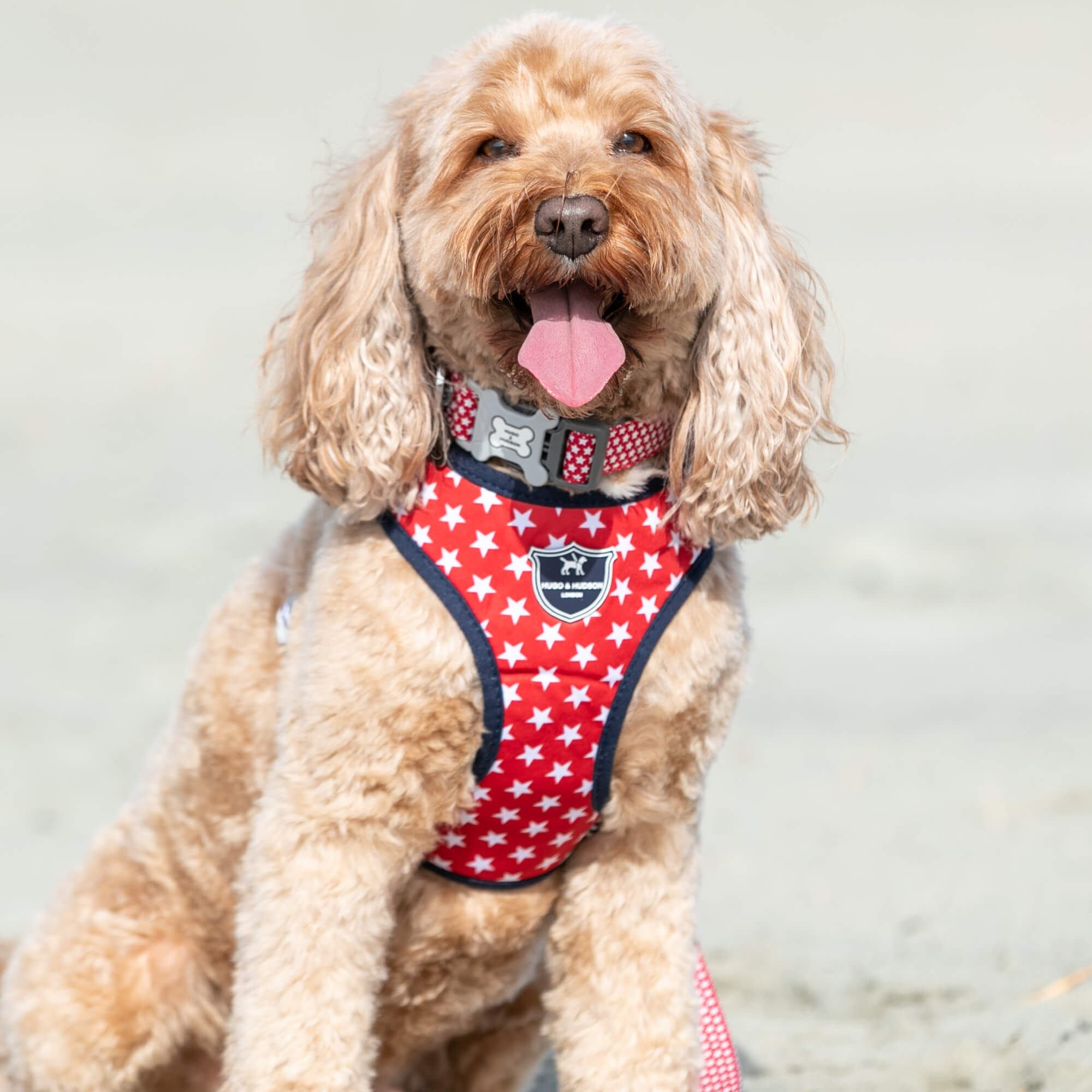 Red Star Fabric Dog Harness