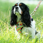 Fabric Dog Harness - Geometric Multi-color