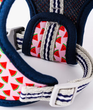 Fabric Dog Harness - Pink Watermelon