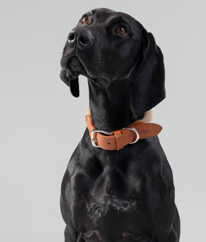 Natürliches rundes Hundehalsband aus Seil mit cognacfarbenem Leder
