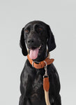 Natural Round Rope Dog Lead with Cognac Leather