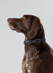Grey Checked Herringbone Tweed Dog Collar