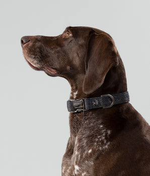 Grey Checked Herringbone Tweed Dog Collar