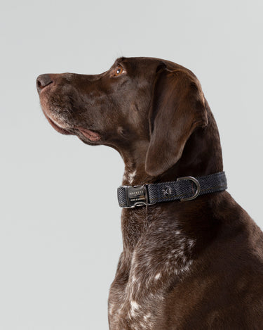 Grey Checked Herringbone Tweed Dog Collar