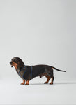 Dark Green Checked Herringbone Tweed Dog Harness