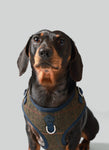 Dark Green Checked Herringbone Tweed Dog Harness