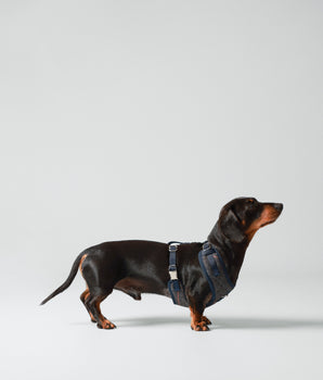 Grey Checked Herringbone Tweed Dog Harness