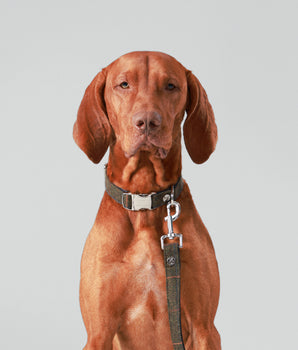 Dark Green Checked Herringbone Tweed Dog Collar