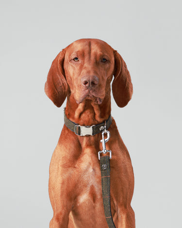 Dark Green Checked Herringbone Tweed Dog Collar