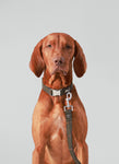 Dark Green Checked Herringbone Tweed Dog Lead