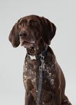 Grey Checked Herringbone Tweed Dog Collar