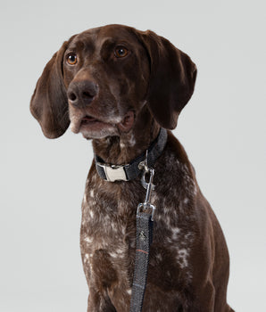 Grey Checked Herringbone Tweed Dog Collar