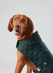 Forest Green Quilted Dog Jacket